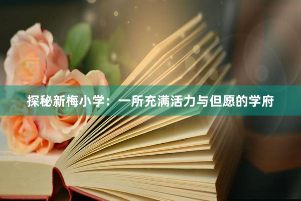 探秘新梅小学：一所充满活力与但愿的学府